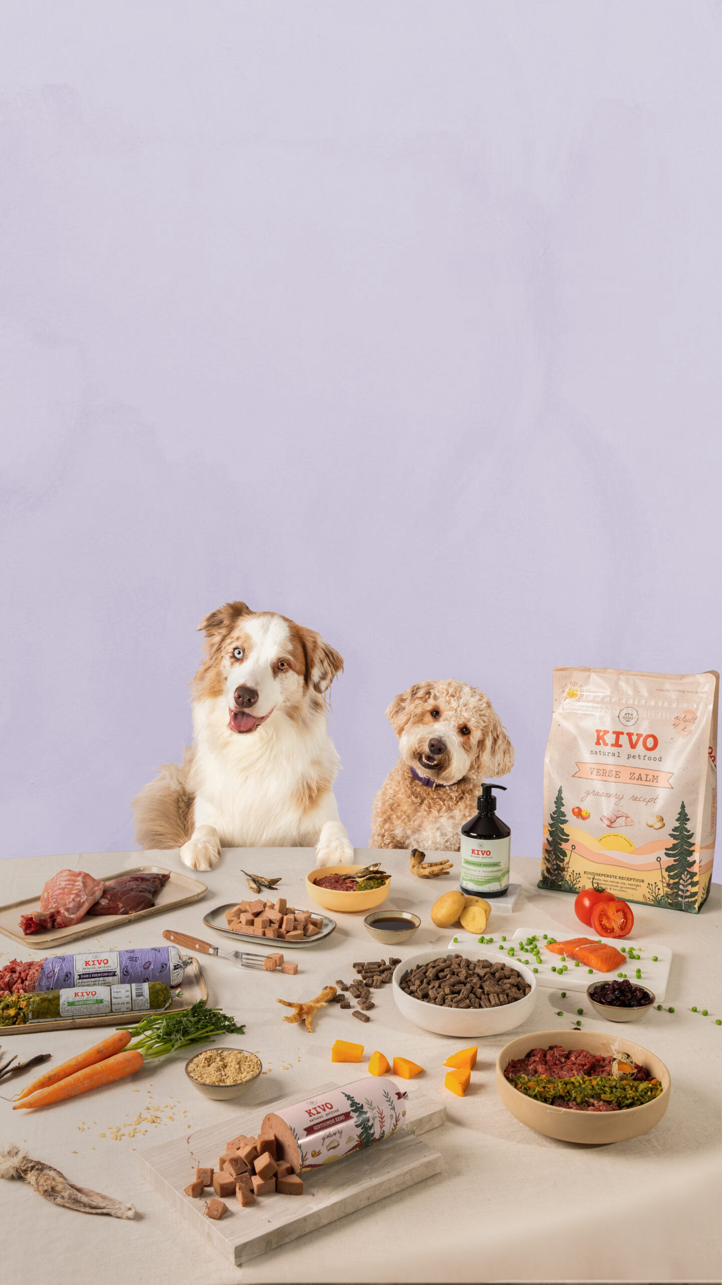 Versie paars verticaal